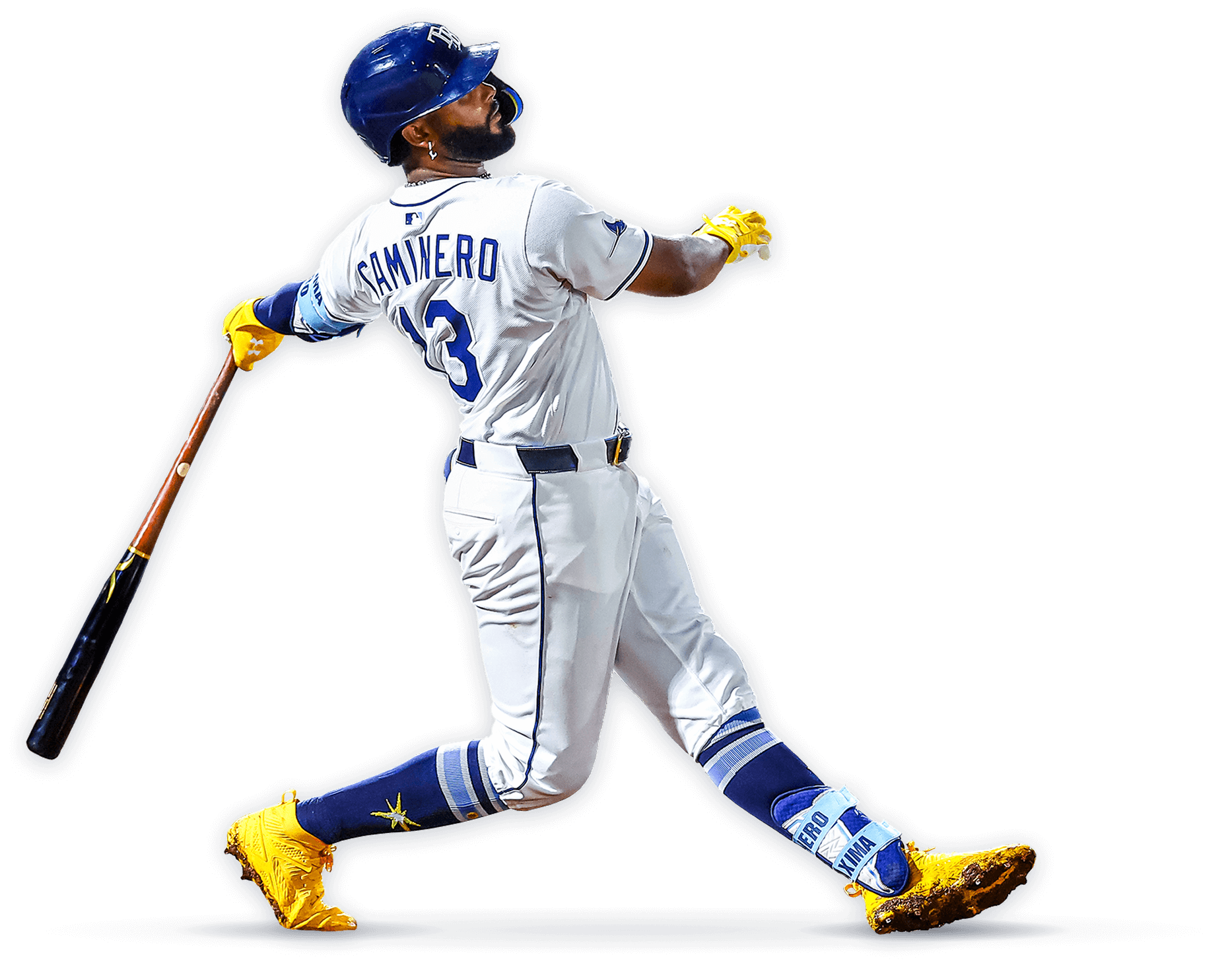 Rays New Sales portal